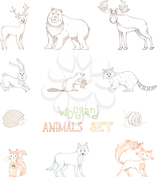 Hedgehog, snail, wolf, beaver, deer, fox, hare, squirrel, moose, bear and raccoon. Zoo hand-drawn collection isolated on white background.