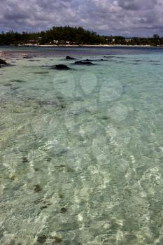 beach rock and stone in deus cocos mauritius