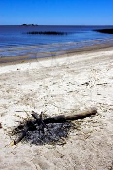 bonfire  and beach in rio de la plata colonia del sacramento uruguay