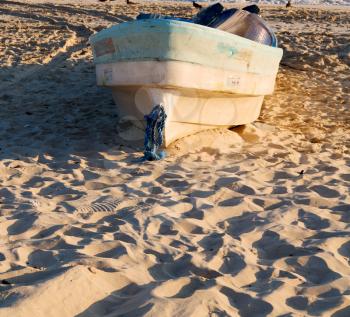 and seagull near ocean in oman boat in the coastline 