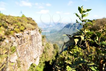 blur  in  south africa  blyde river canyon plant rock and pond water   