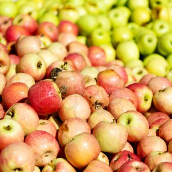 in south africa market red and yellow apples in the natural  light