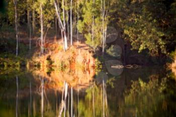 in lesotho mlilwane wildlife santuary the pound lake and  tree reflection in water