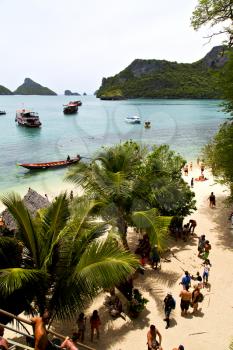   boat coastline of a green lagoon  and tree  south china sea thailand kho phangan   bay  