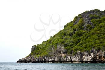  coastline of a green lagoon and tree  south china sea thailand kho phangan  bay  