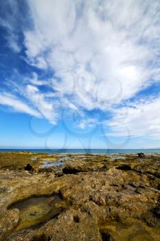  light  beach water  in lanzarote  isle foam rock spain landscape  stone sky cloud   
