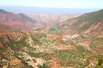 dades valley in  atlas moroco   africa ground tree  and nobody