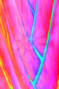 the abstract colors and blur   background texture