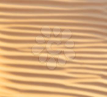 abstract texture line wave in oman the old desert  and the empty quarter blurred