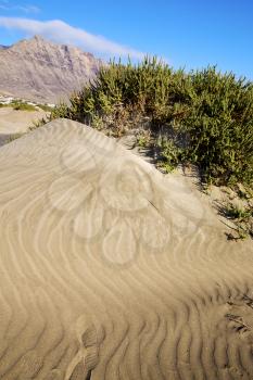  village abstract yellow dune beach  hil and mountain in the   lanzarote spain 
