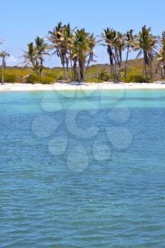 blue   isla contoy       in mexico froath and blue  foam  the sea drop sunny day  wave