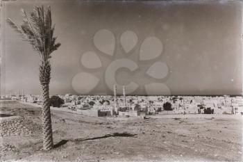 in muscat oman the cityscape and the palm near ocean view