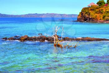 beach seaweed in indian ocean madagascar mountain  sand isle  sky and rock