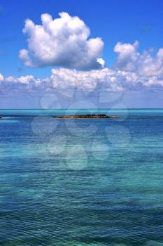 coastline and rock in the  blue lagoon relax  of isla contoy  mexico