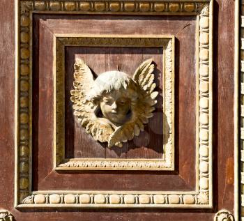 abstract angel   texture of a     brown  antique wooden     old door 