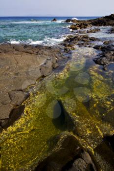 froth coastline in lanzarote spain pond  rock stone sky cloud beach  water  musk  and summer    
