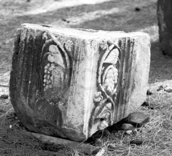  in phaselis temple turkey asia old ruined column and destroyed stone