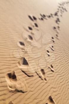 abstract texture line wave in oman the old desert  and the empty quarter  blurred