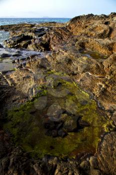 spain musk pond rock stone sky  water  coastline and summer in lanzarote 
