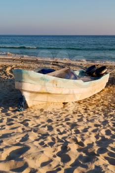 and seagull near ocean in oman boat in the coastline 