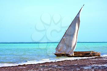 zanzibar beach  seaweed in indian ocean tanzania    sand isle  sky and boat sail
