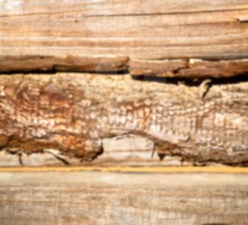 blur abstract background     texture of a   brown  antique      wooden floor  