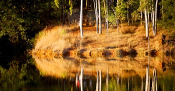 in lesotho mlilwane wildlife santuary the pound lake and  tree reflection in water
