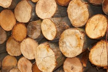 Heap of sliced wooden logs close up