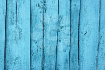 Shield of wooden boards with multilayered shelled covering painted in blue