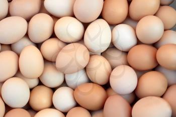 A lot of randomly stacked chicken eggs