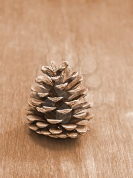Pine cone on an old wooden table close-up, sepia