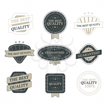 Set of vintage badges and design elements vector image