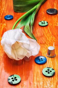 white tulip and buttons with thread on orange wooden background