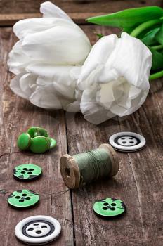 set of sewing accessories from threads and buttons on the background of white tulips