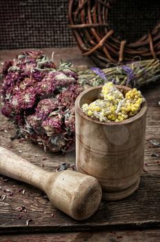 beam ligament healing herbs traditional medicine and pestle.Selective focus.photo tinted