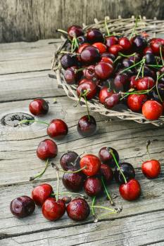 Ripe sweet cherry fruits in a wooden basket.Photo tinted