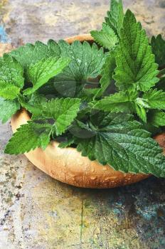 Wooden bowl with cut branches with leaves of a medicinal plant, lemon balm