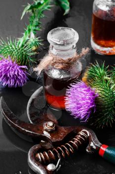 Flowers medicinal plants, the Thistle and the healing elixir from them