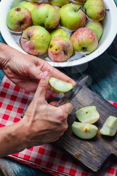 Washing and cutting of the crop of autumn apples