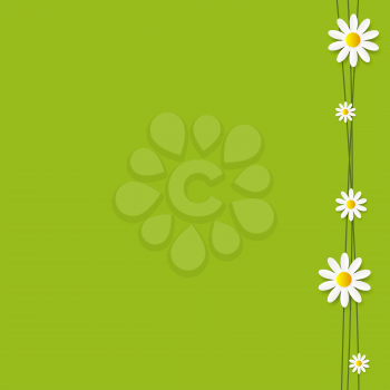 Flora Daisyl Design. Green Background. Vector Illustartion EPS10