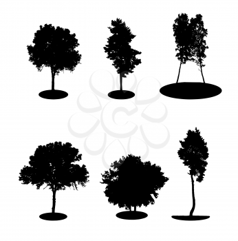 Set of Tree Silhouette Isolated on White Backgorund. Illustration. EPS10