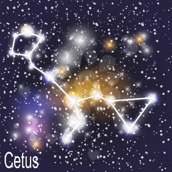 Cetus Constellation with Beautiful Bright Stars on the Background of Cosmic Sky Vector Illustration. EPS10
