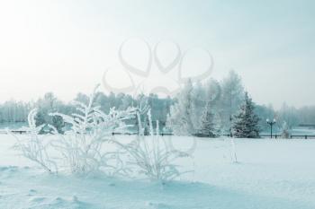 Icy winter embankment covered with snow. Russia, Yaroslavl