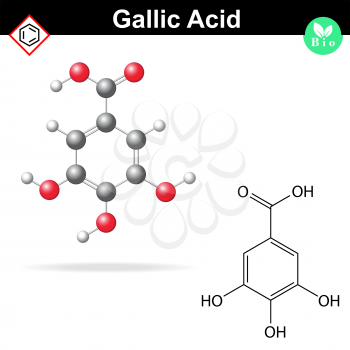 Gallic acid molecule, gallate, structural chemical formula and model, 2d & 3d vector, isolated on white background, eps 8