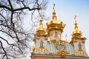St. Petersburg, Russia - November 9, 2014: Leafless trees and the Church of Saints Peter and Paul in Peterhof, St. Petersburg, Russia. It was build in 1747-1751 by Rastrelli architect