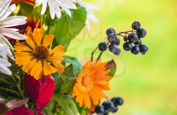 Colorful summer bouquet, mixed wild and decorative flowers, close-up photo with selective focus