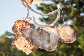 Wind chime made of big shells hanging in park