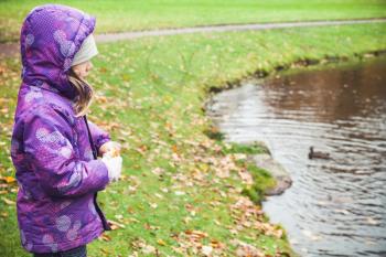 Little girl feeds ducks on a lake coast in autumn park