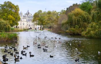 Birds on pond with fountain, St. James park view, London