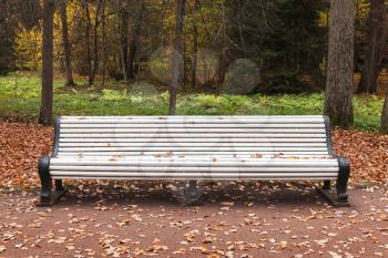 Empty white wooden bench stands in autumn park, frontal view